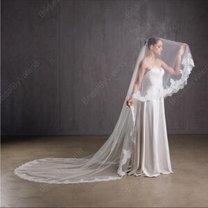 Bright White Cathedral Lace Veil with Blusher